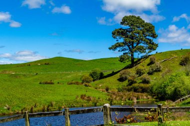 Film setinden Hobbiton 'a doğru yürürken görülecek ve bakılacak çok şey var. Matamata, Auckland, Yeni Zelanda