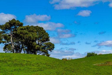 Film setinden Hobbiton 'a doğru yürürken görülecek ve bakılacak çok şey var. Matamata, Auckland, Yeni Zelanda