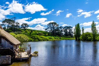 Film setinden Hobbiton 'a doğru yürürken görülecek ve bakılacak çok şey var. Matamata, Auckland, Yeni Zelanda