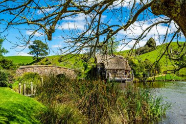 Film setinden Hobbiton 'a doğru yürürken görülecek ve bakılacak çok şey var. Matamata, Waikato, Yeni Zelanda