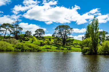 Film setinden Hobbiton 'a doğru yürürken görülecek ve bakılacak çok şey var. Matamata, Waikato, Yeni Zelanda