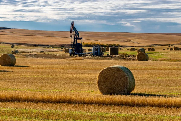 Samanlıkta saman balyalarıyla çevrili bir petrol kuyusu. Kneehill County, Alberta, Kanada