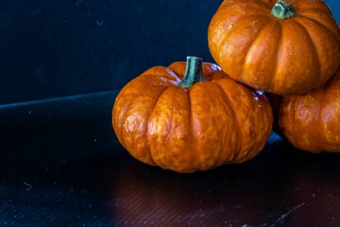 Siyah arka planda mini balkabakları. Calgary, Alberta, Kanada