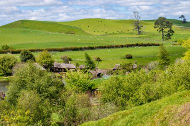Hobbiton 'un film setinin etrafında bir yürüyüş çok renkli ve çok kalabalık bir turistik cazibedir. Matamata, Waikato, Yeni Zelanda