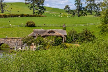 Hobbiton 'un film setinin etrafında bir yürüyüş çok renkli ve çok kalabalık bir turistik cazibedir. Matamata, Waikato, Yeni Zelanda