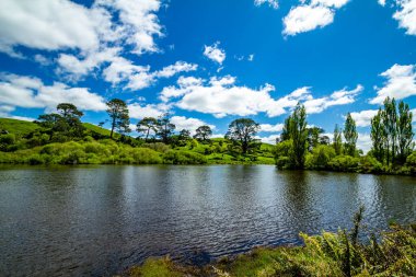 Film setinden Hobbiton 'a doğru yürürken görülecek ve bakılacak çok şey var. Matamata, Waikato, Yeni Zelanda