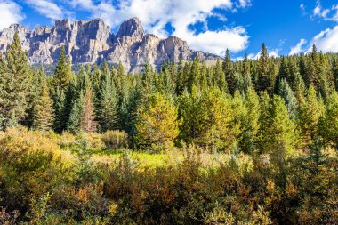 Castle Mountain 'dan Castle Cliffs' e Banff Ulusal Parkı Alberta Canada