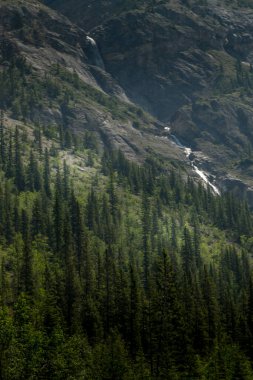 Cirrus Dağı gökyüzüne yükseliyor Banff Ulusal Parkı alberta Kanada