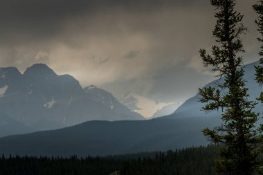 Yağmur ve ağır bulutlar Saskatchewan Nehri 'nin alüvyonunu altüst ediyor. Howes Pass Banff Ulusal Parkı Alberta Kanada' da görüldüğü gibi.