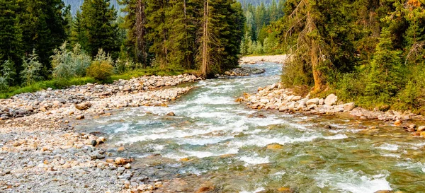 Baker Creek Meanders Keresztül Völgyben Banff Nemzeti Park Alberta Kanada — Stock Fotó