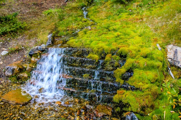 Vägkanten Faller Längs Bow Valley Parkway Banff National Park Alberta — Stockfoto