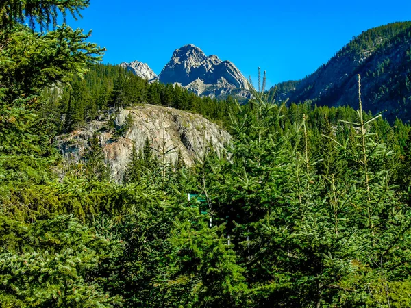 Pemandangan Rockies Dari Bow Valley Parkway Taman Nasional Banff Alberta — Stok Foto