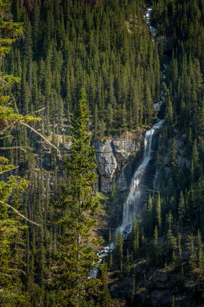 Bridal Viel Falls Flows Huntington Glacier Banff National Park Alberta — Stockfoto