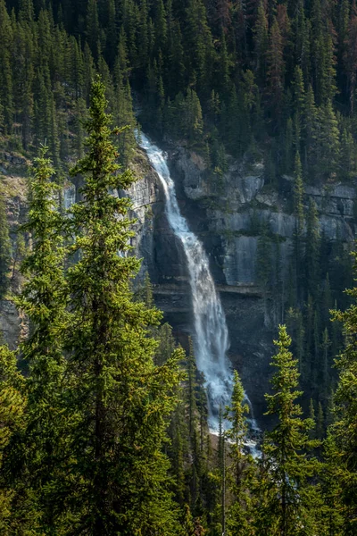Bridal Viel Falls Flows Huntington Glacier Banff National Park Alberta — Stock Fotó