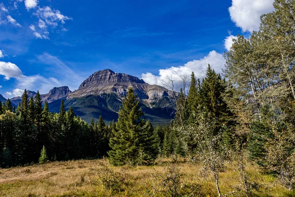 Fall Colours Hillsdale Meadows Banff National Park Alberta Canada — Foto Stock