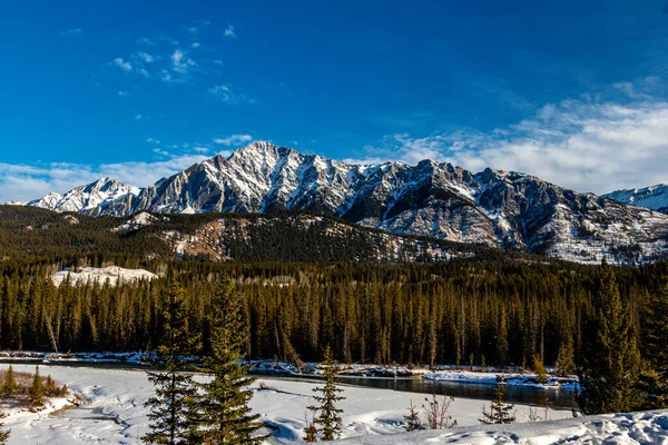 Rzeka Łuk Płynie Poniżej Bow Range Park Narodowy Banff Alberta — Zdjęcie stockowe