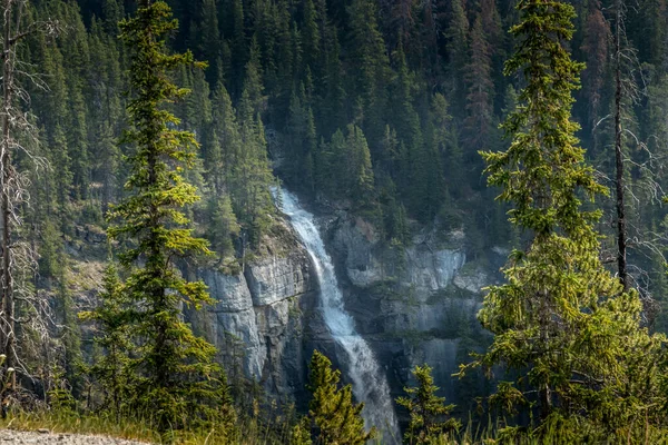 Bridal Viel Falls从加拿大艾伯塔省亨廷顿冰川国家公园流出 图库图片