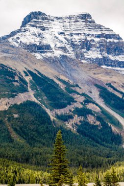 Buz Tarlaları Parkway boyunca sonbahar renkleri bol. Banff Ulusal Parkı, Alberta, Kanada