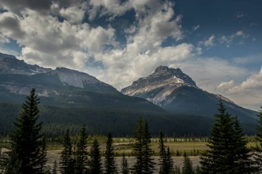 Kayalıklar gökyüzüne yükseliyor Buz Tarlaları Parkway Banff Ulusal Parkı Alberta Kanada