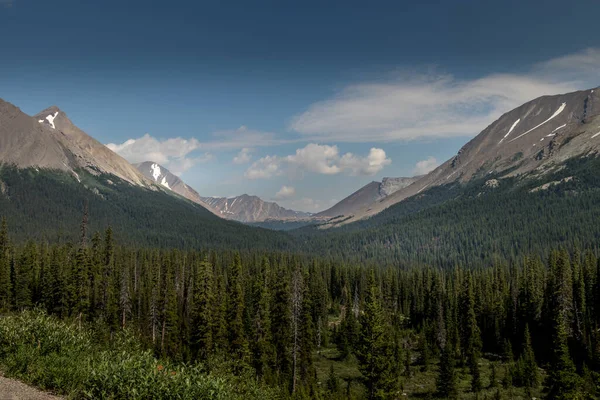 Die Rockies Ragen Hoch Den Himmel Ice Fields Parkway Banff — Stockfoto