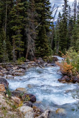 Louise Gölü çevresindeki dere ve ağaçlar Banff Ulusal Parkı Alberta Caanda