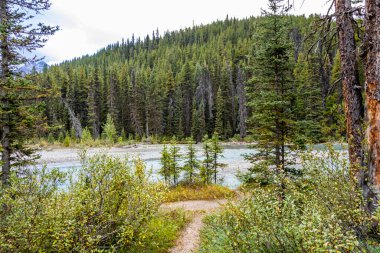 Louise Banff Gölü boyunca Bow Nehri Alberta Caanda Ulusal Parkı