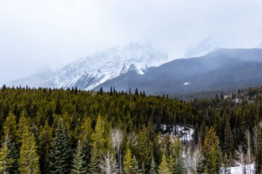 Minnewnaka döngüsü boyunca karlı kış yolculuğu. Banff Ulusal Parkı, Alberta, Kanada