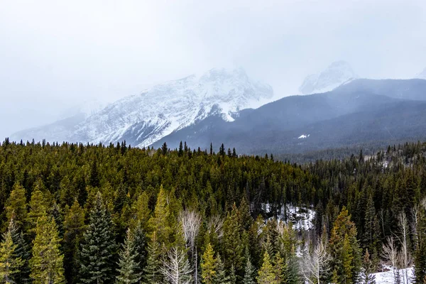 Havas Téli Túra Minnewnaka Hurok Mentén Banff Nemzeti Park Alberta — Stock Fotó