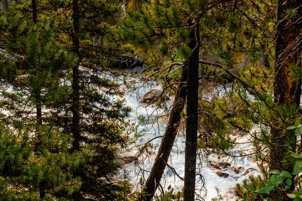 Eine Fahrt Entlang Des Moraine Lake Drive Banff National Park — Stockfoto