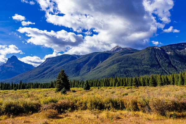 Rockies Moose Meadows Banff National Park Alberta Canadá Imagens Royalty-Free