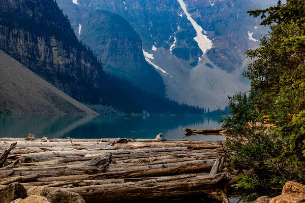 Log Jam Moraine Lake Banff Nationaal Park Alberta Canada — Stockfoto