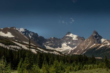 Parker Ridge Banff Ulusal Parkı Alberta Kanada 'daki kasede kar var.