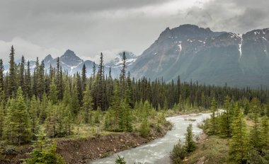 Bulutlar, sis ve yağmur, Silverthorn Creek Banff Ulusal Parkı Alberta Kanada üzerine çöker.