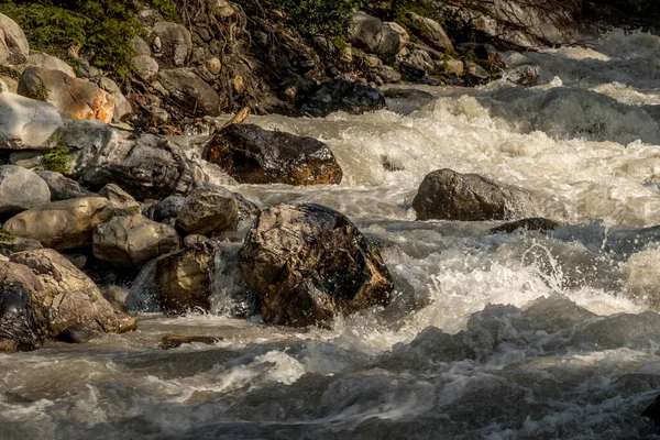 크리크는 앨버타 캐나다의 바위들 물체들 거닐고 — 스톡 사진