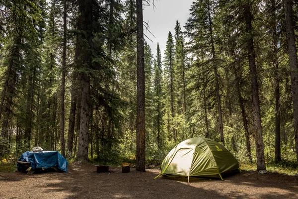 Kamp ve çadır Rampart Creek Banff Ulusal Parkı Alberta Kanada 'da kuruldu.