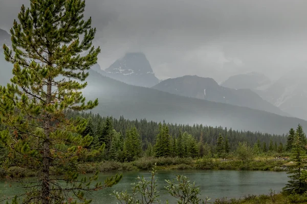 云雾和雨笼罩在加拿大艾伯塔省Silverthorn Creek Banff国家公园上空 — 图库照片