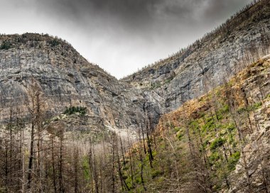 Akamina Parkway Waterton Gölleri Ulusal Parkı Alberta Kanada