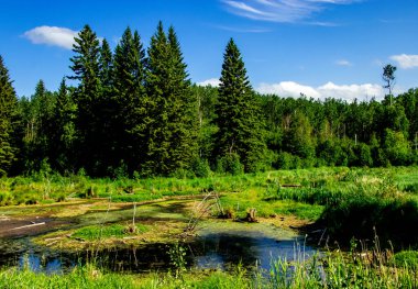 Astonia Gölü mavi gökyüzünün altında Elk Adası Ulusal Parkı Alberta Kanada