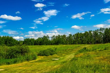 Hayburger Patikası Mavi gökyüzünün altında Elk Adası Ulusal Parkı alberta Kanada