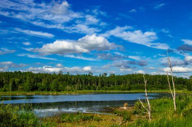 Yol kenarından Elk Adası Ulusal Parkı Alberta Kanada