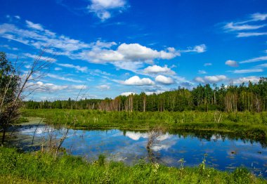Yol kenarından Elk Adası Ulusal Parkı Alberta Kanada