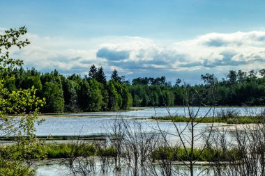 Yol kenarından Elk Adası Ulusal Parkı Alberta Kanada