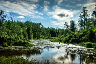 Yol kenarından Elk Adası Ulusal Parkı Alberta Kanada