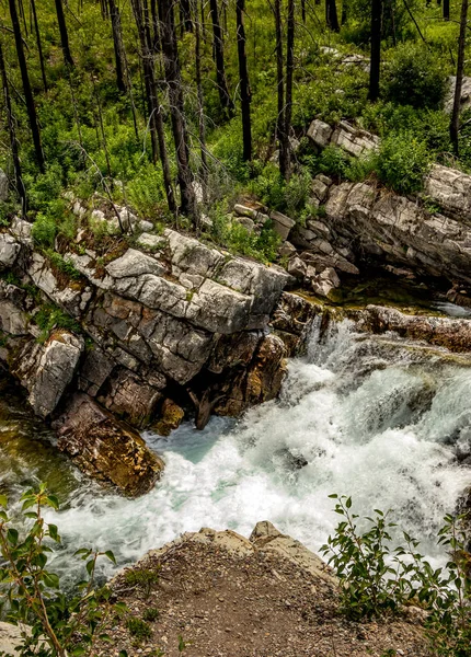 Ansichten Entlang Des Akamina Parkway Waterton Lakes Nationalpark Alberta Kanada — Stockfoto