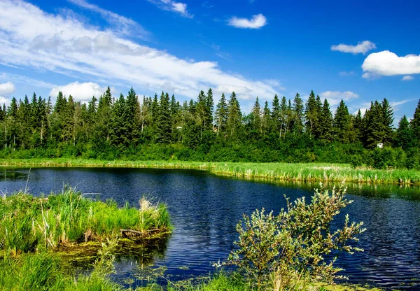 Astonia Gölü mavi gökyüzünün altında Elk Adası Ulusal Parkı Alberta Kanada