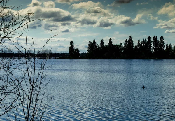 Astonia Lake Blue Skies Elk Island Εθνικό Πάρκο Αλμπέρτα Καναδάς — Φωτογραφία Αρχείου