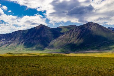 Bison Döngüsü Waterton Gölleri Ulusal Parkı Alberta Kanada