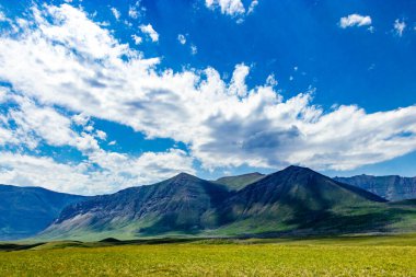 Bison Döngüsü Waterton Gölleri Ulusal Parkı Alberta Kanada
