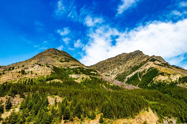 Inggris King Edward Peak Upper Waterton Lakes Waterton Lakes National — Stok Foto