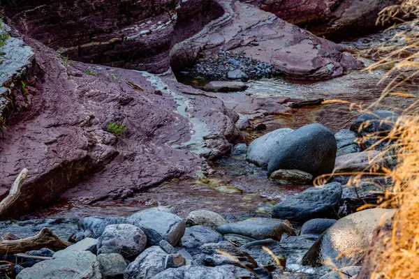 Lost Horse Creek Meanders Waterton Lakes National Park Alberta Canada — Stock fotografie